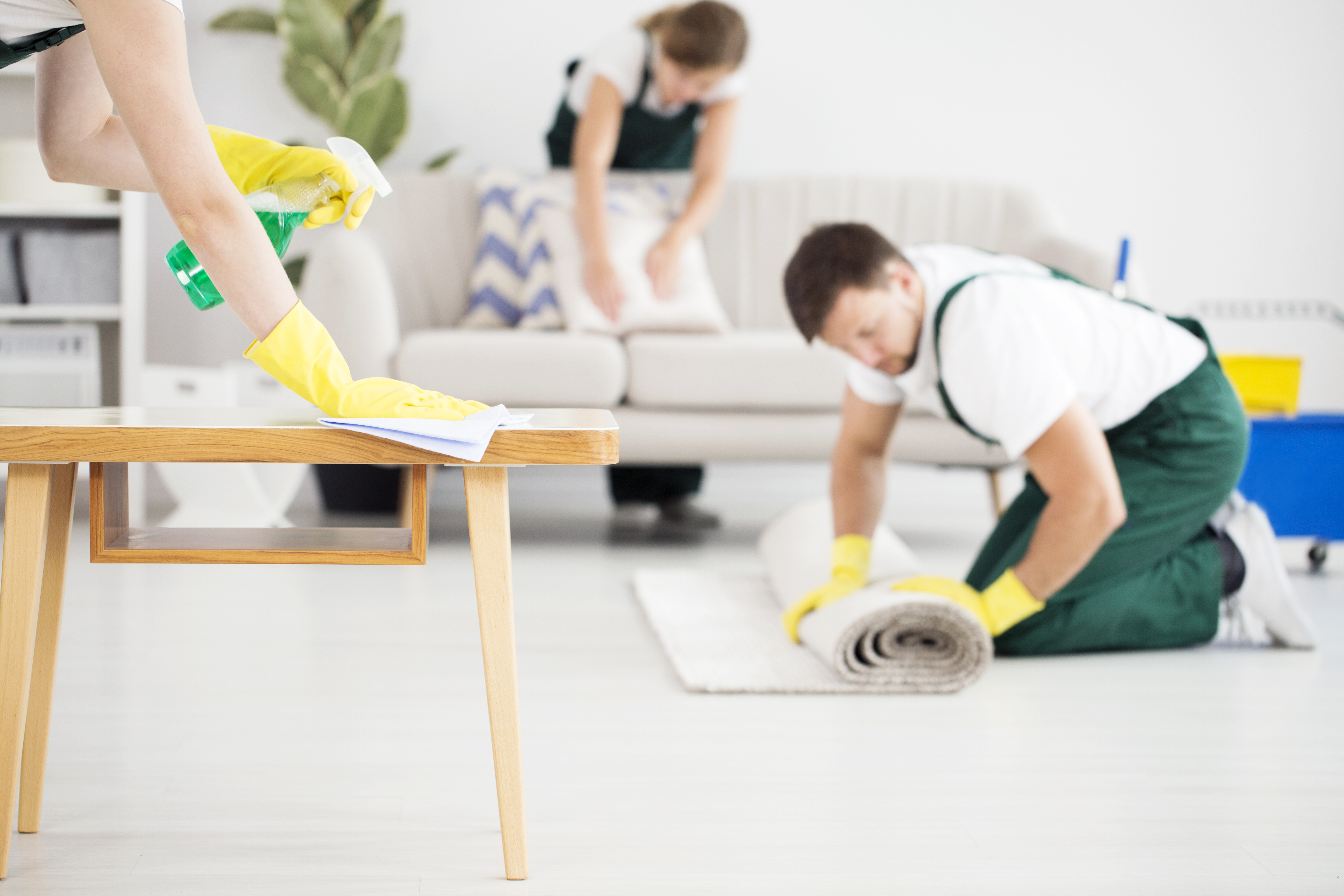 Professional cleaning