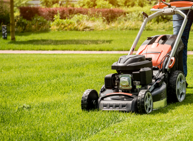 Lawn Mowing